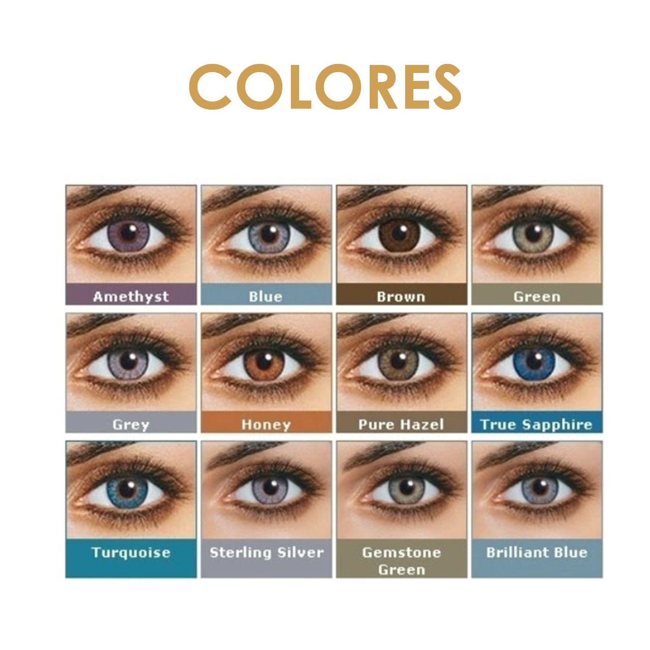 FreshLook Colors Web